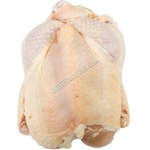 Wise Whole Organic Chicken (Price per LB) | oaklandkosherfoods